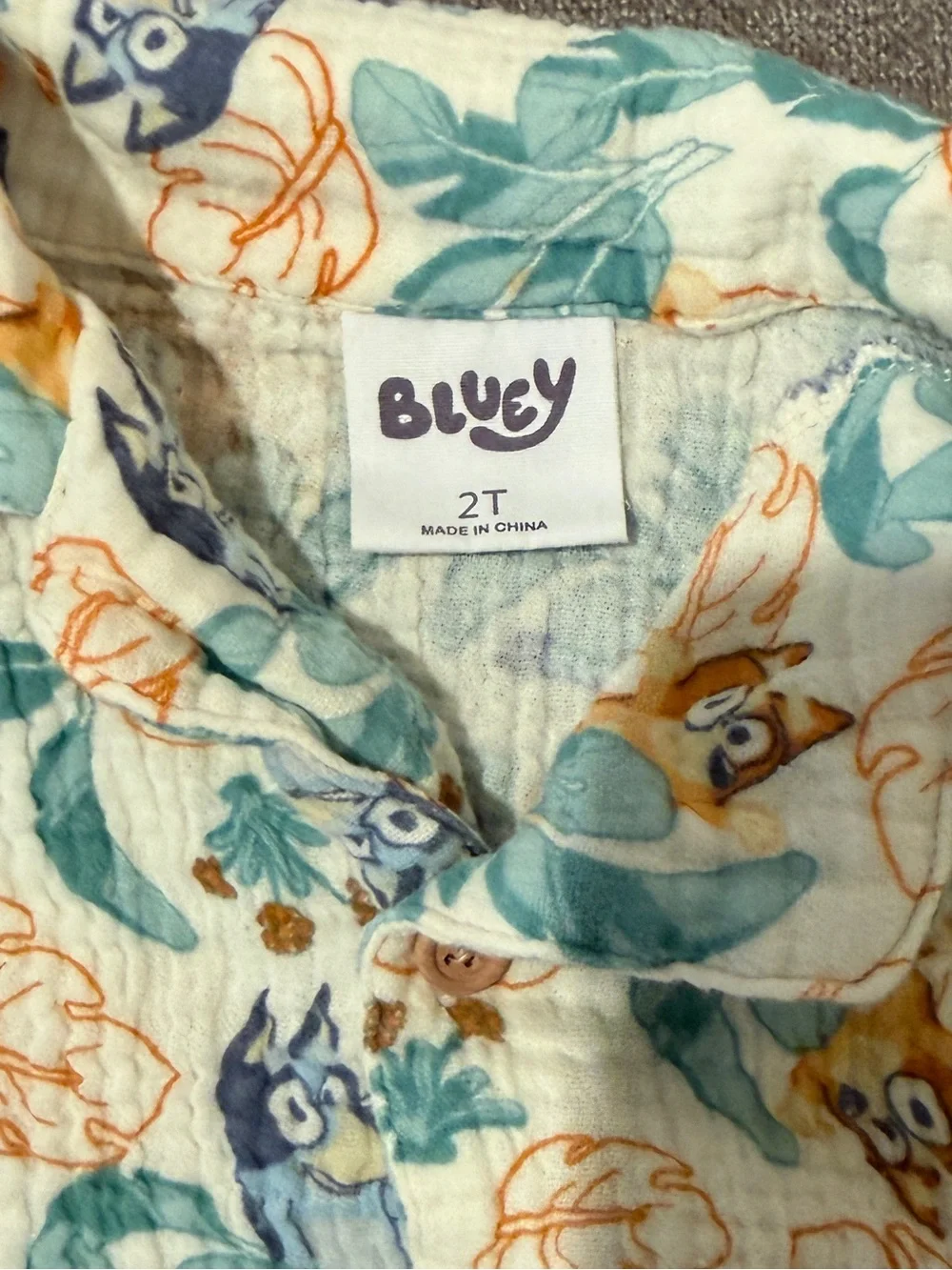 Bluey Tropical Print Two-Piece Set - Teal & Yellow 2T